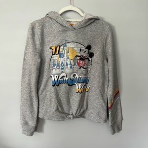 Walt Disney World Striped Hoodie